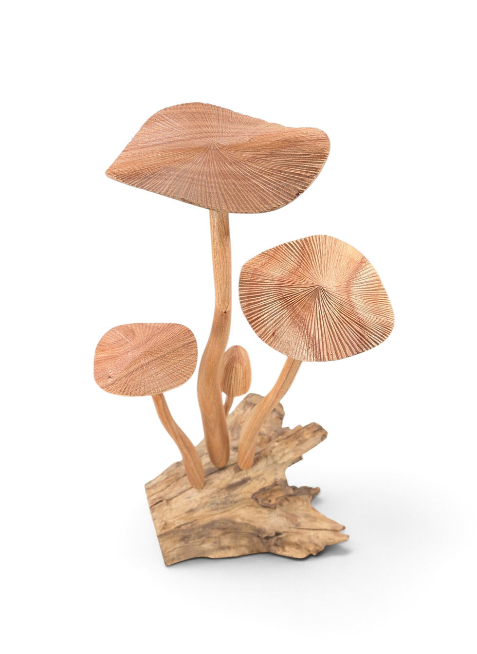 Hand-carved wooden mushroom cluster sculpture