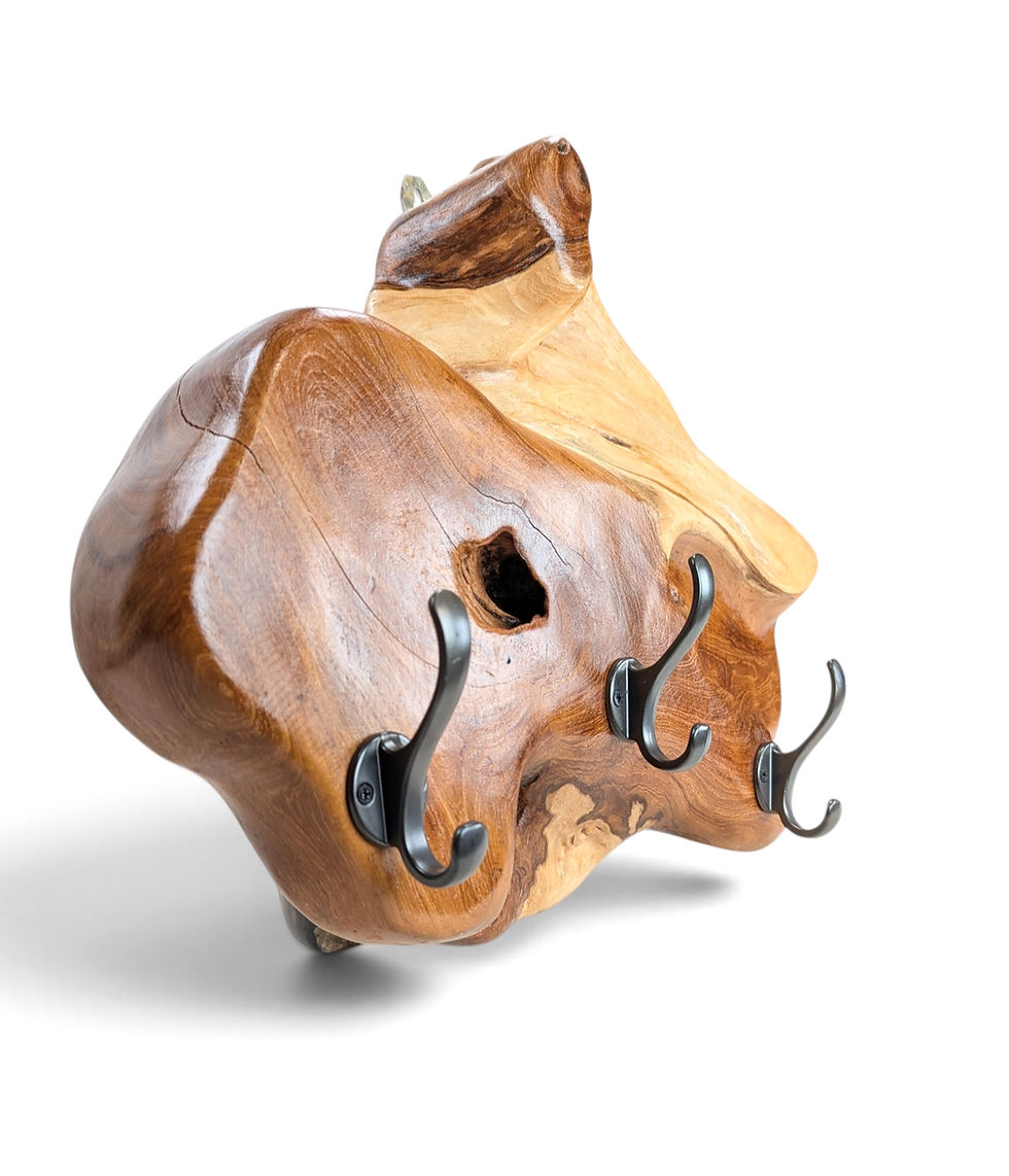 Thumbnail: Natural wood coat rack featuring expressive teak grain