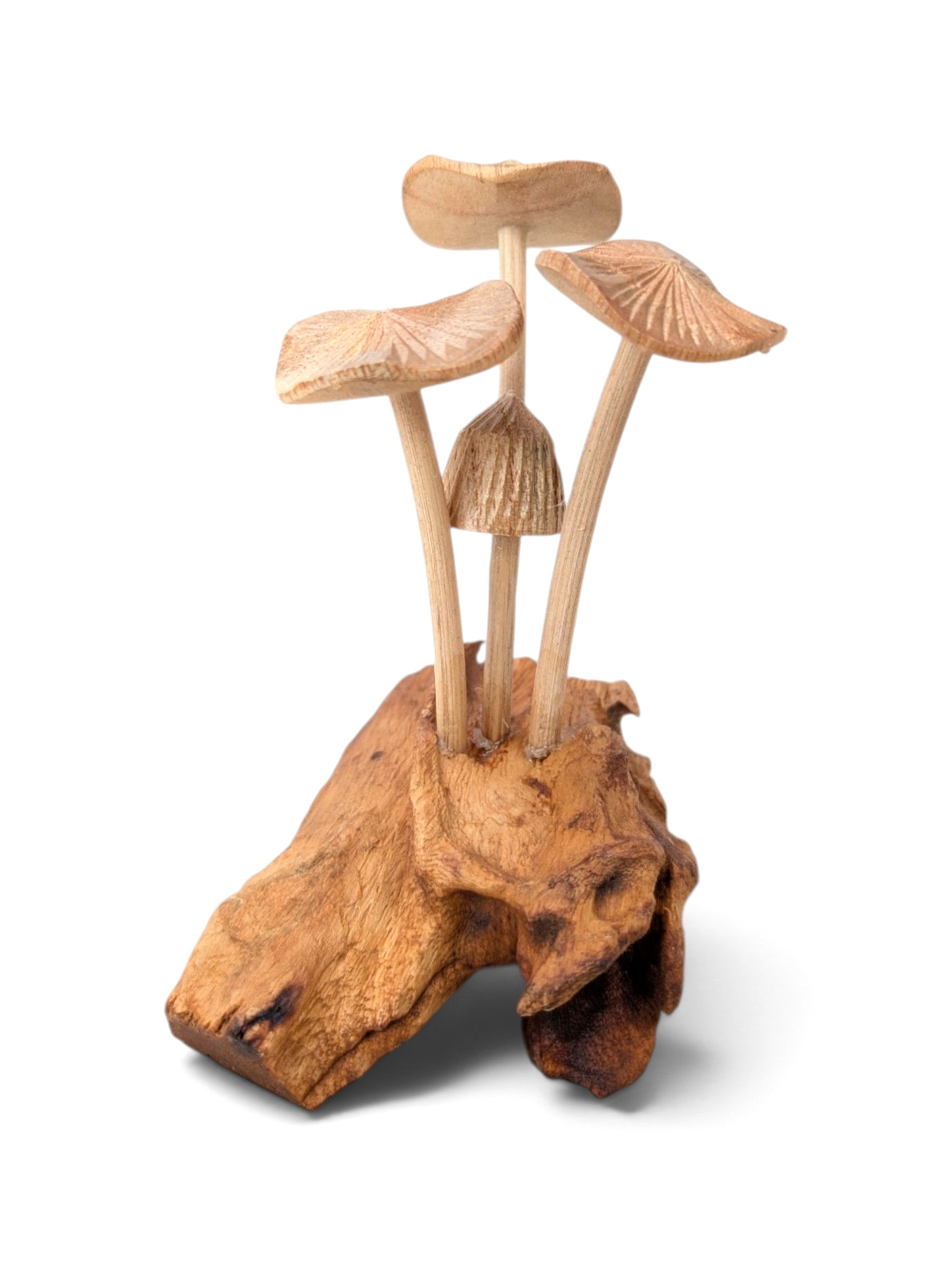 Small handcrafted natural wood mushroom cluster