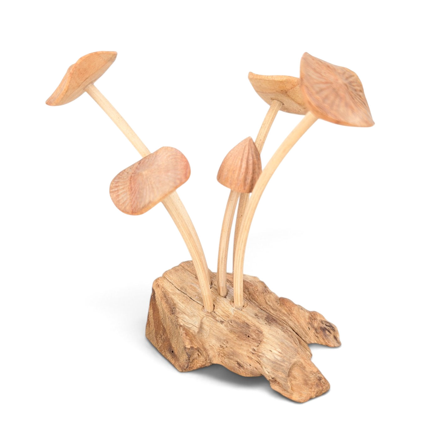 Small natural wood mushrooms for indoor styling
