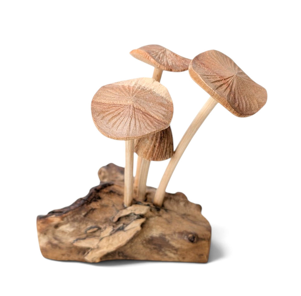 Thumbnail: Woodland mushroom cluster made from natural wood