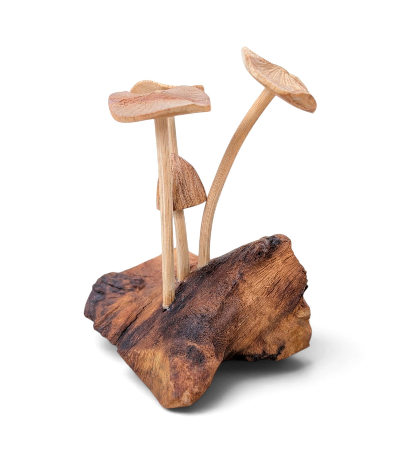 Small handcrafted organic wood mushroom cluster