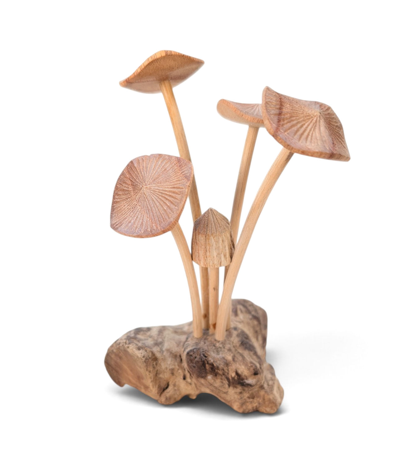 Small natural wood mushrooms for indoor styling