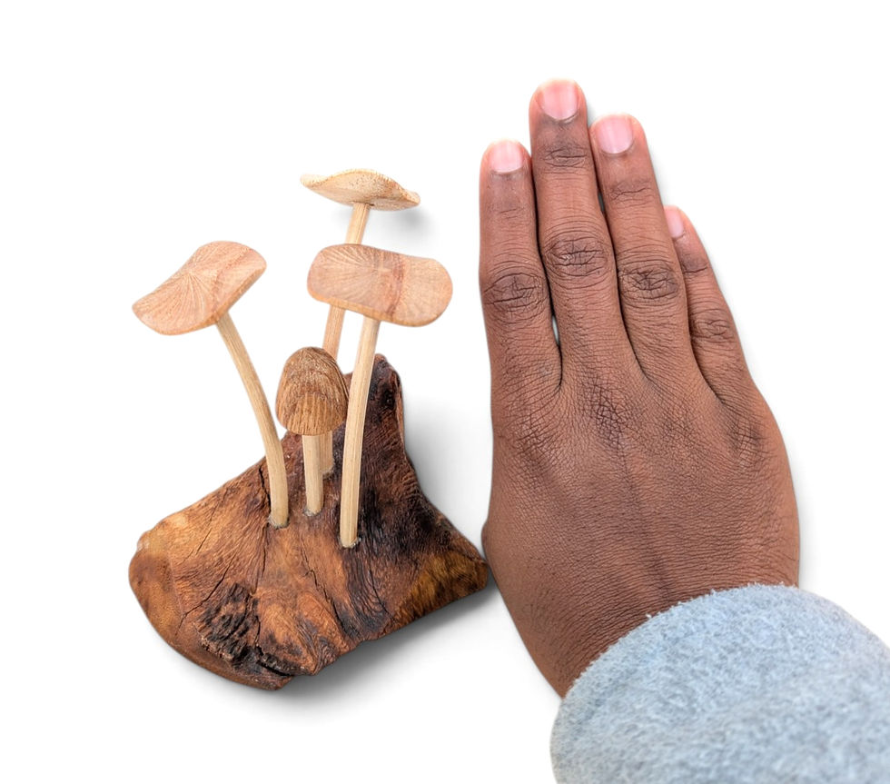 Thumbnail: Rustic wooden mushroom group for indoor styling