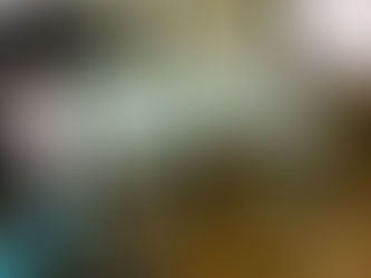 2020.10.23 60インチ届いた