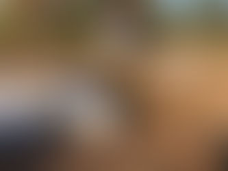 2022.10.31 能書き・キレイゴトばかりの