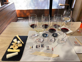 Recorrido por la viña Concha y Toro y Marqués de Casa Concha, Chile