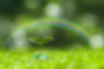AdobeStock_104263120.jpg