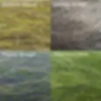 Thumbnail: NMF FLASH BRUSHES