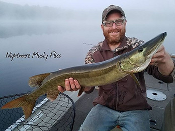 MUSKY, PREDATOR FISH, GAME CHANGER