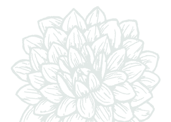 Dahlia Outline Transparent 8