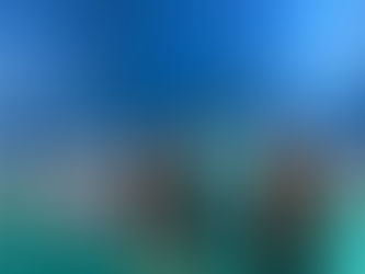 2019 Mano Vic NAVARRETE SPORTS Badminton Tournament