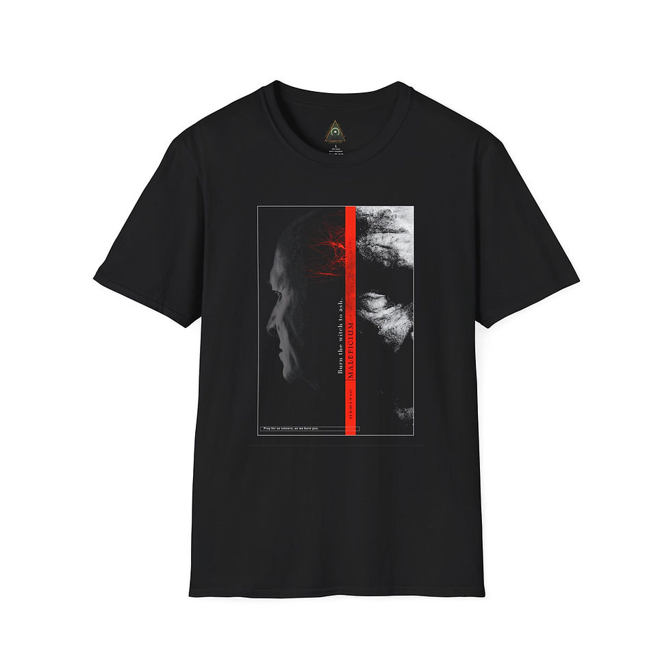 The Darkness abides:  Occult T-shirt 
