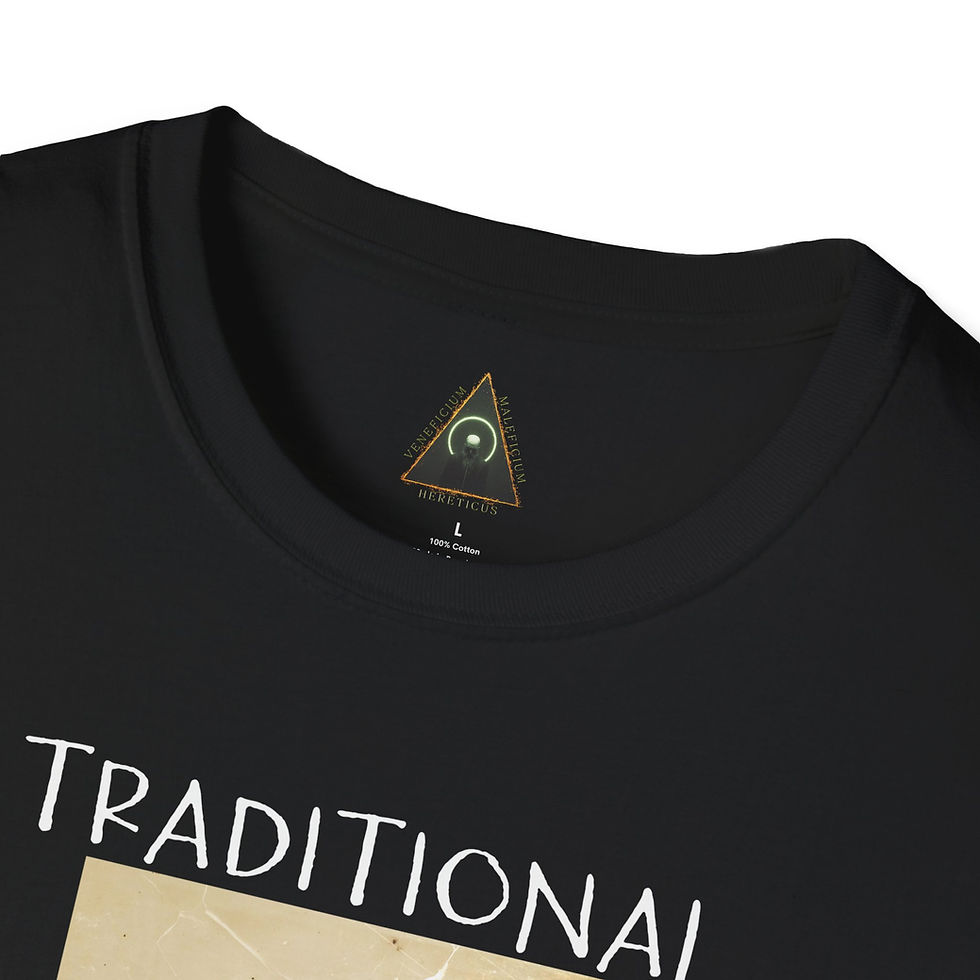 Thumbnail: Vintage-Inspired Unisex T-Shirt - "Traditional Family Values"