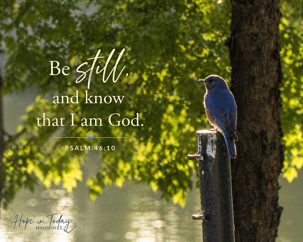 Blue bird resting quietly on post symbolizing stillness and listening to God – Psalm 46:10