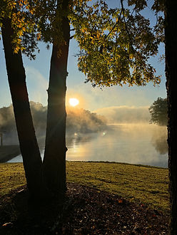 Option 3 for web banner.jpeg