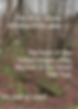 A wooded mountain hillside with a hidden stream flowing beneath the roots of a large oak tree, overlaid with text describing the source of the stream and the symbolism of living water beneath the surface.