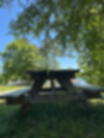 Picnic table by calm water under trees representing peace in troubled waters and standing in Christ (Romans 5 teaching)