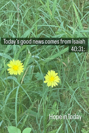 Good News from Is 40 verse 31, Aug 24, 2025.png