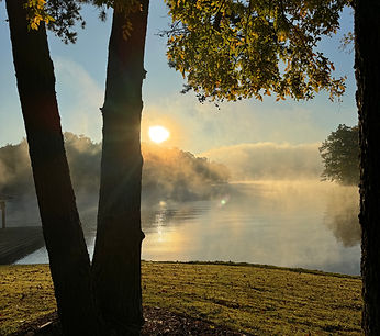 Option 3 for web banner.jpeg