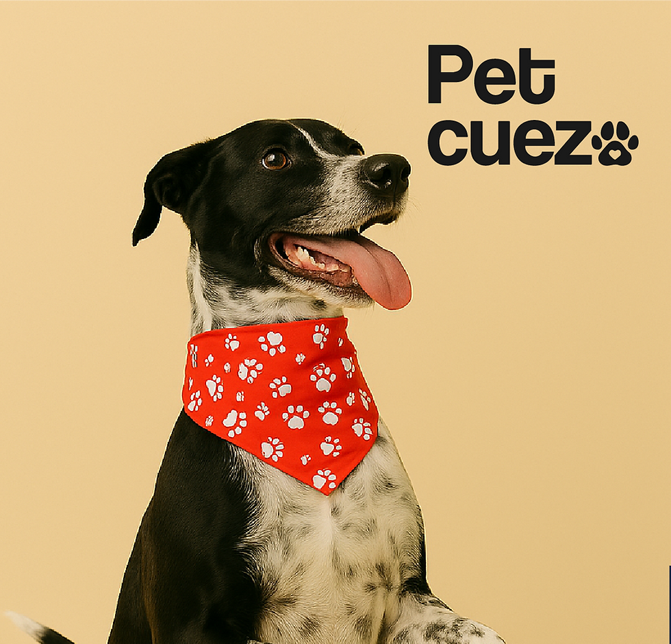 Mesa de trabajo 1 copia 5.png