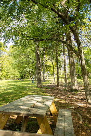 Wooden picnic table beneath trees in a park, sunlight and shadows, rv parks in joplin missouri.