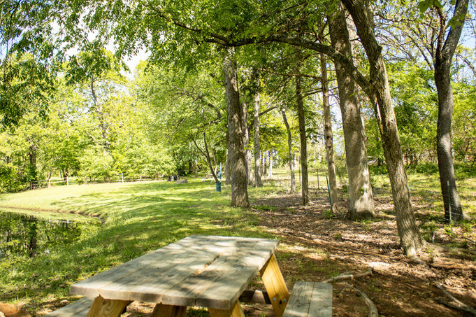 Picnic table in front of a pond and trees, rv parks in joplin missouri