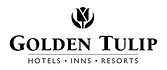 golden-tulip
