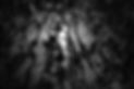ardian-lumi-6Woj_wozqmA-unsplash_edited.jpg