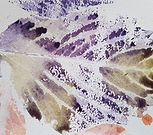 20221008_115455.jpg