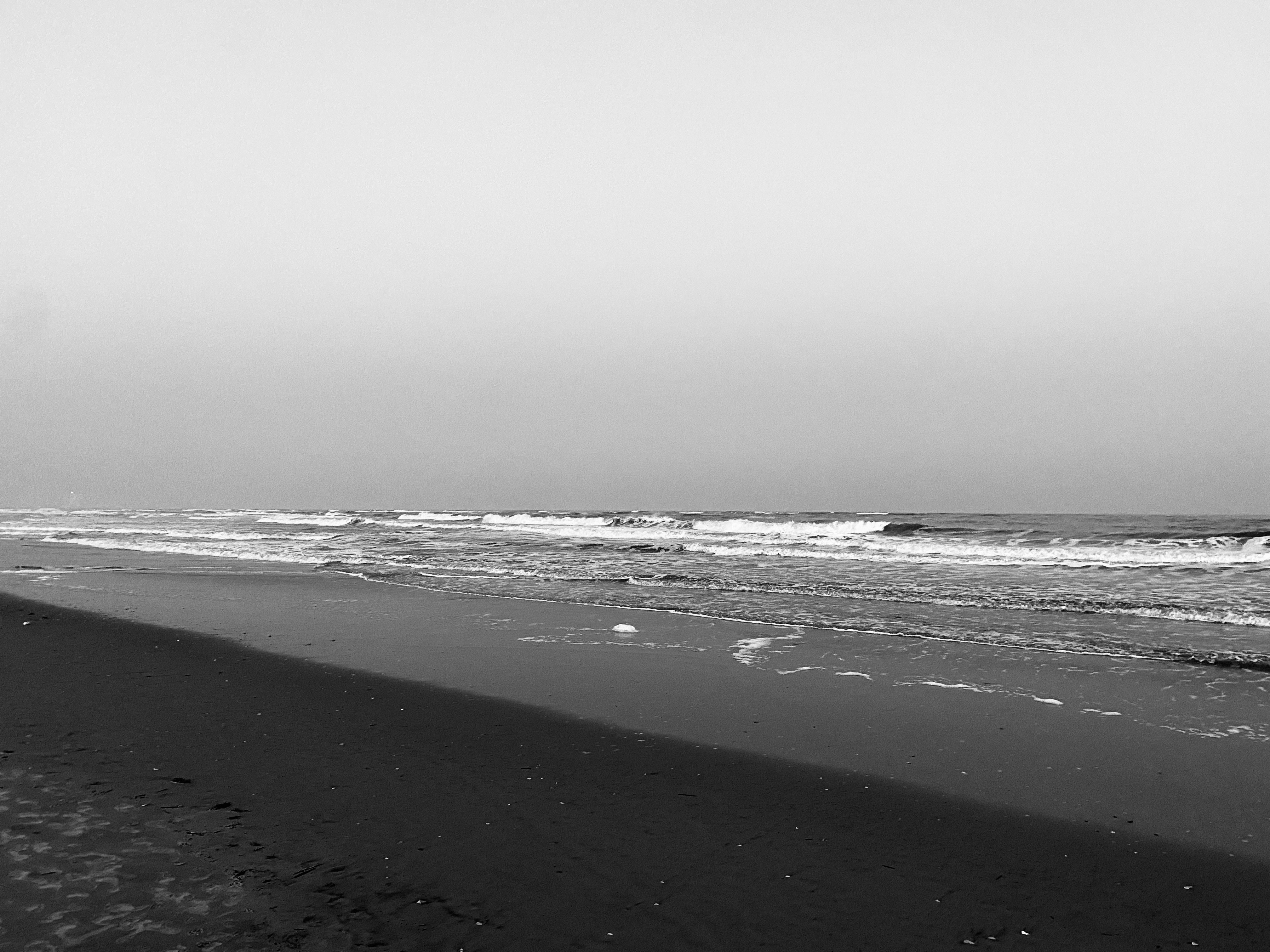 OCEAN CITY, NJ (photo)