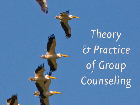 Theory & Practice of Counseling & Psychotherapy 8th edition