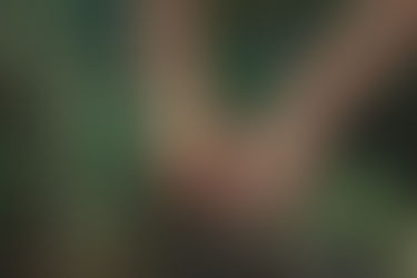 Valencia, model for food sustainability