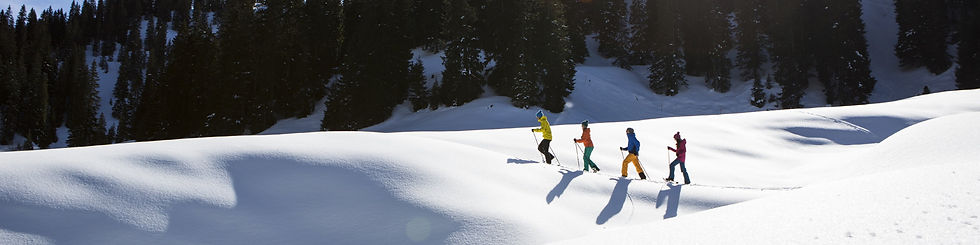 Schneeschuhwandern