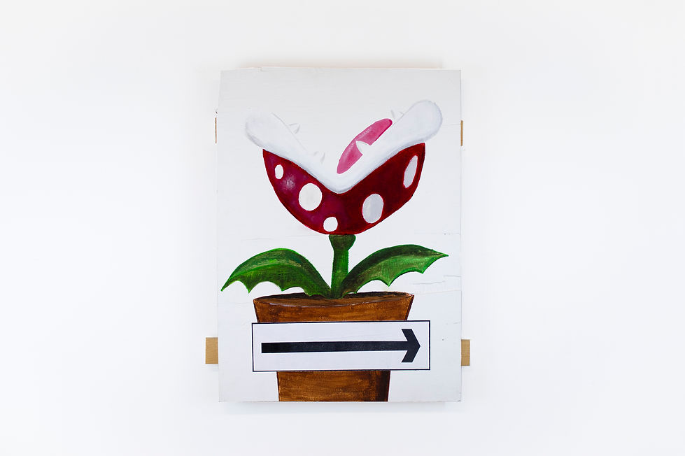 Piranha Plant, plucked from thin air