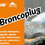 Miniatura: BRONCOPLUG MORTERO PARA SELLAR GRIETAS EN PISCINAS X 20kg