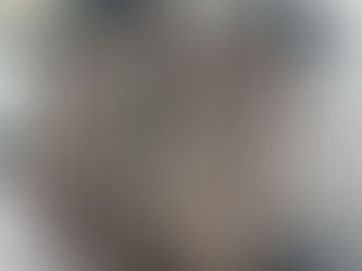 Vorbereitung Ausstellung