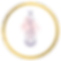 FMC_logo_gold.png