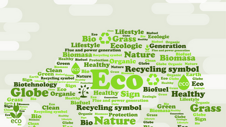 Public Transportation and Environmentally Friendly Transportation Strategies