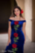 Alba Dress 