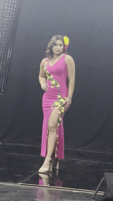 Thumbnail: Sarita Dress