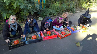 HALLOWEEN - Cagettes citrouilles