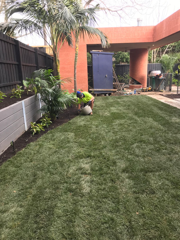 Photo 17-8-21, 1 56 18 pm (1).jpg