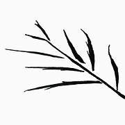 Logo de Primitiva Atelier