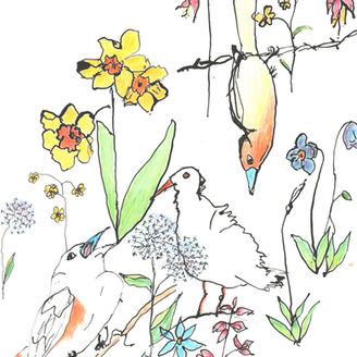 oriole and friends.jpeg