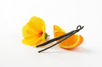 Untitled design (13).png