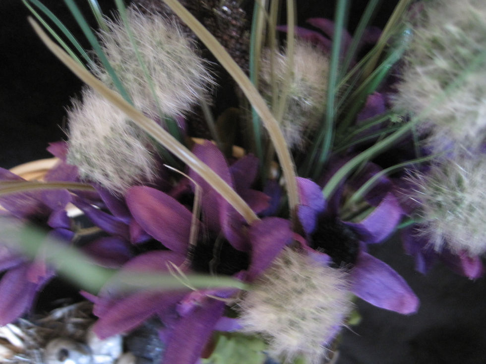 Thumbnail: Raven's Nest