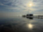 IMG_8252.jpg
