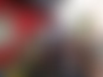 Dia a Dia Aprendiz: Meio Ambiente!