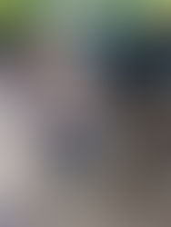 Dia a Dia Aprendiz: Maternal III